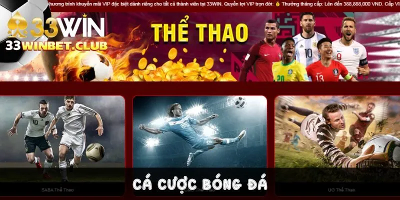 Cá Cược Bóng Đá