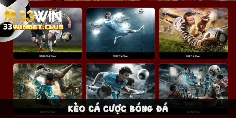Có bao nhiêu kèo cá cược bóng đá trên thị trường hiện nay? Có bao nhiêu kèo cá cược bóng đá trên thị trường hiện nay?
