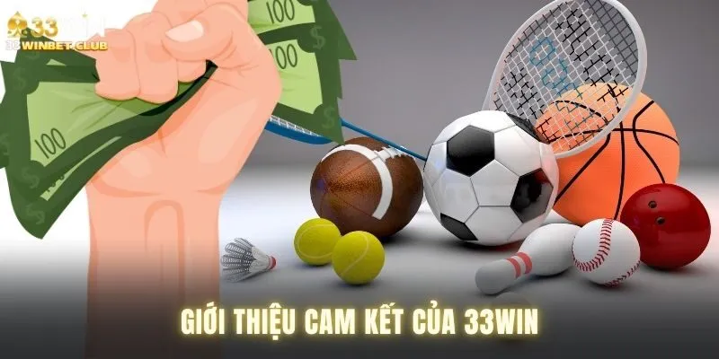 Giới thiệu cam kết từ nhà cái 33win