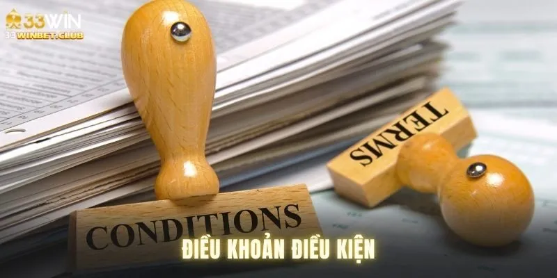 Khám phá điều khoản điều kiện đến từ 33win
