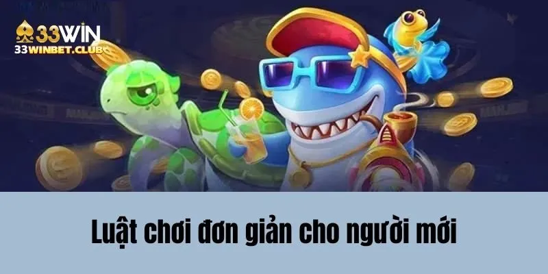 Luật chơi đơn giản cho người mới