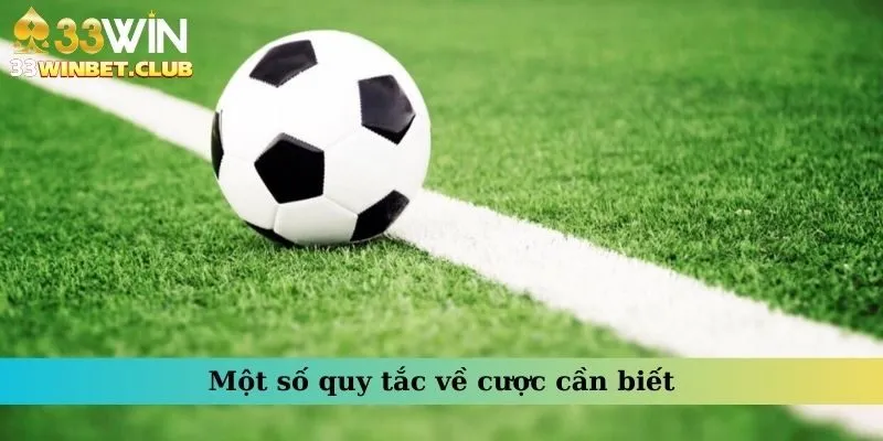 Một số quy tắc về cược cần biết