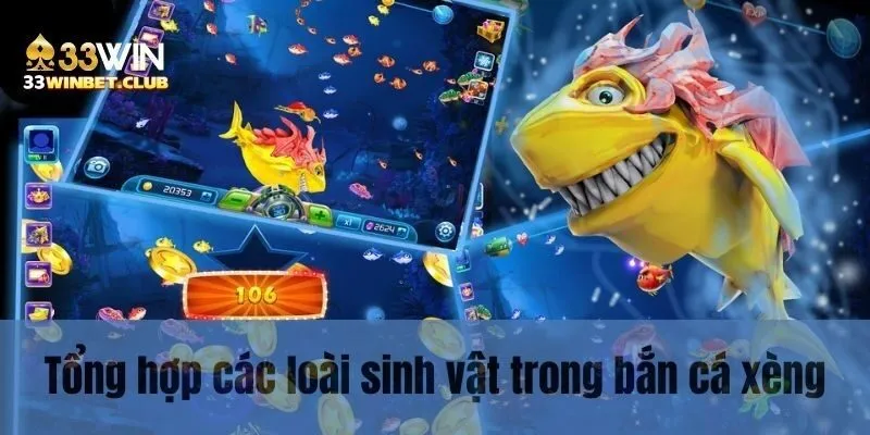 Tổng hợp các loài sinh vật trong bắn cá xèng