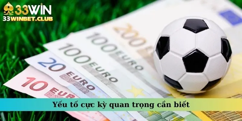 Yếu tố thật sự quan trọng mà bạn cần biết